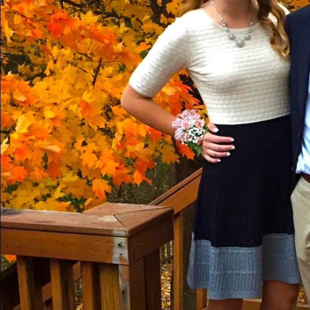 Dress barn color block sweater dress | M